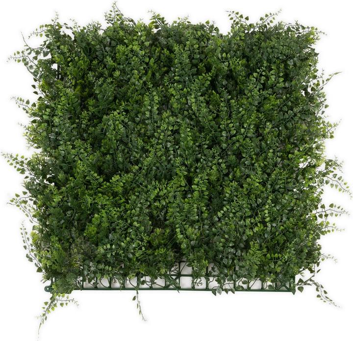 Produktbild Karat Fern (7 cm)