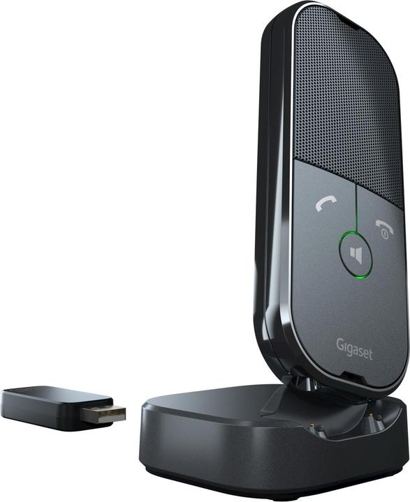 Actual product image Gigaset Pro ION