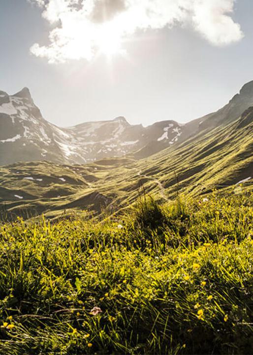 Produktbild Ricola Das Original