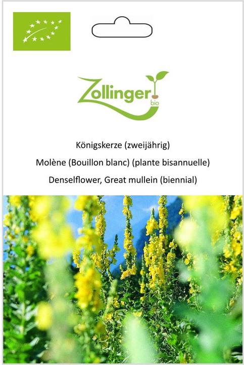 Immagine prodotto Zollinger Bio Verbasco (biennale)