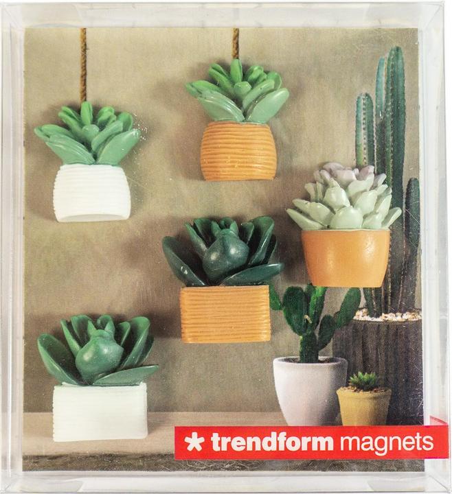 Produktbild Trendform Cactus (5x)