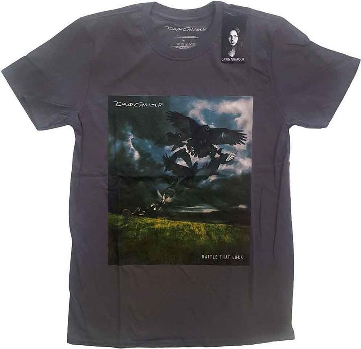 David Gilmour Rattle That Lock