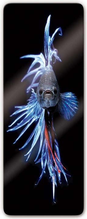 Produktbild Trenddeko Glowfish 2 (30 x 80 cm)