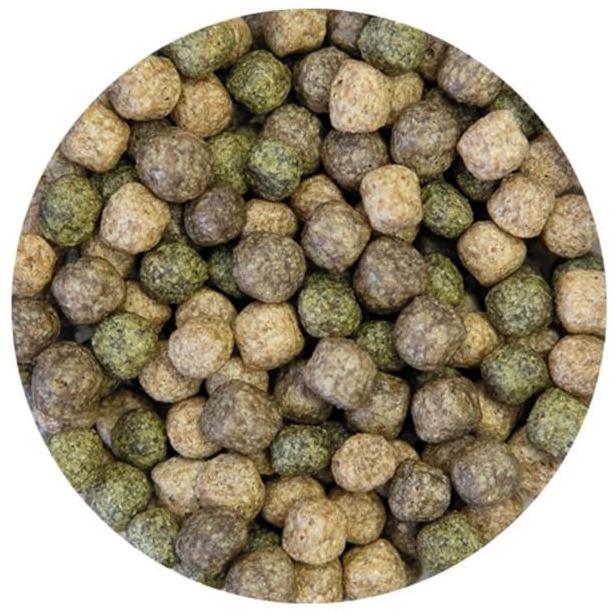 Immagine prodotto Kobre San Linea d'argento crescere e colore (Koi, 5000 ml)