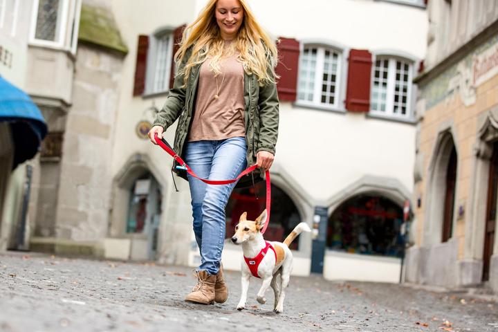 Produktbild Curli Air-Mesh (XXS, Hund, Spazieren)