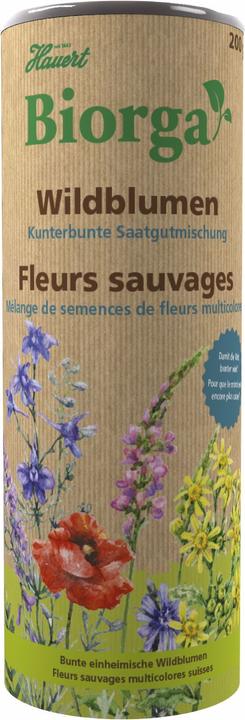 Hauert Fleurs sauvages Mélange de graines colorées (Graines de fleurs)