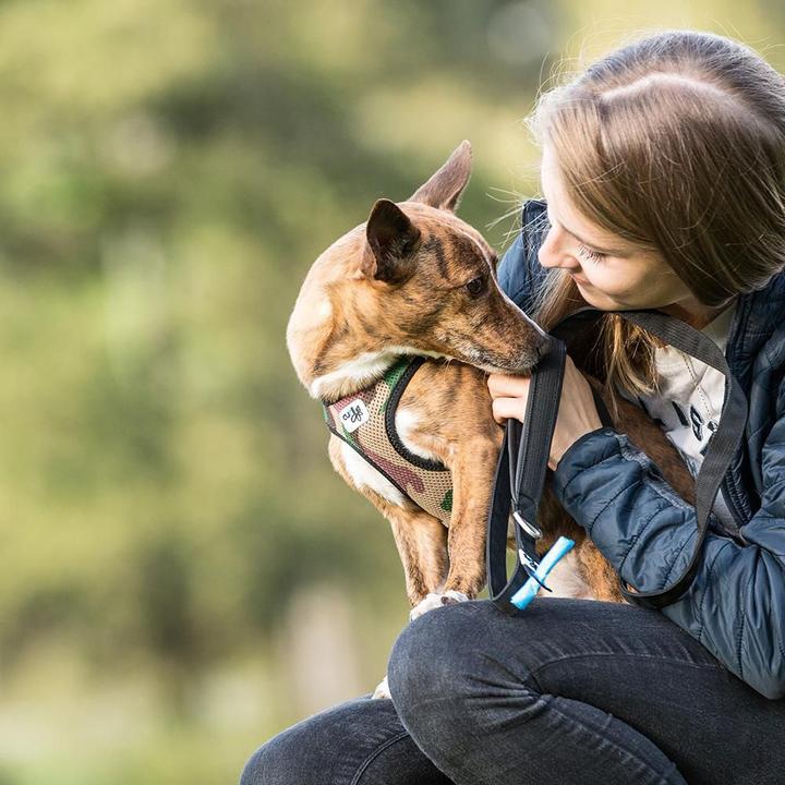 Actual product image Curli Tableware (3XS, Dog, General)