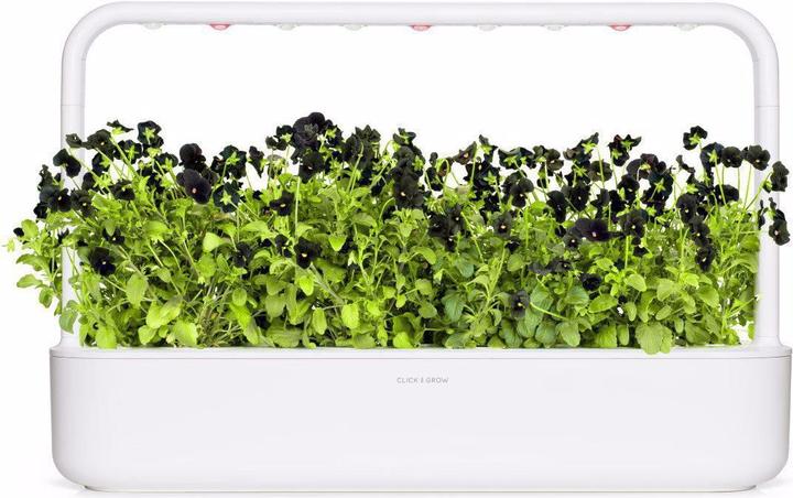 Produktbild Click and Grow Schwarzes Stiefmütterchen Pflanzenpads (Blumensamen)