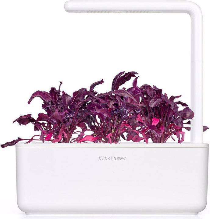 Image du produit Click and Grow Bette rouge (Graines de légumes)