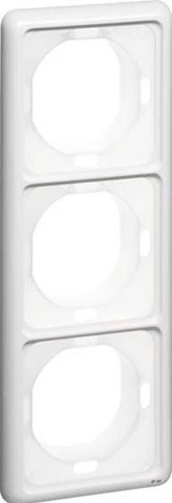 White RAL number (similar) :1013