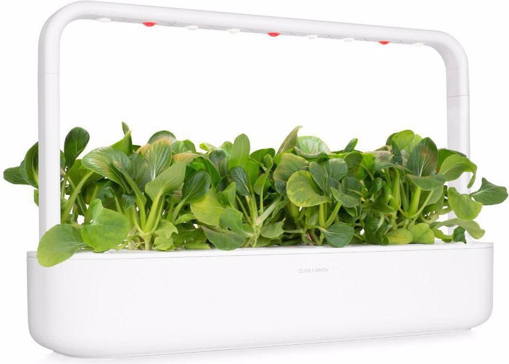 Immagine prodotto Click and Grow Semi Pak Choi (Semi di verdura)
