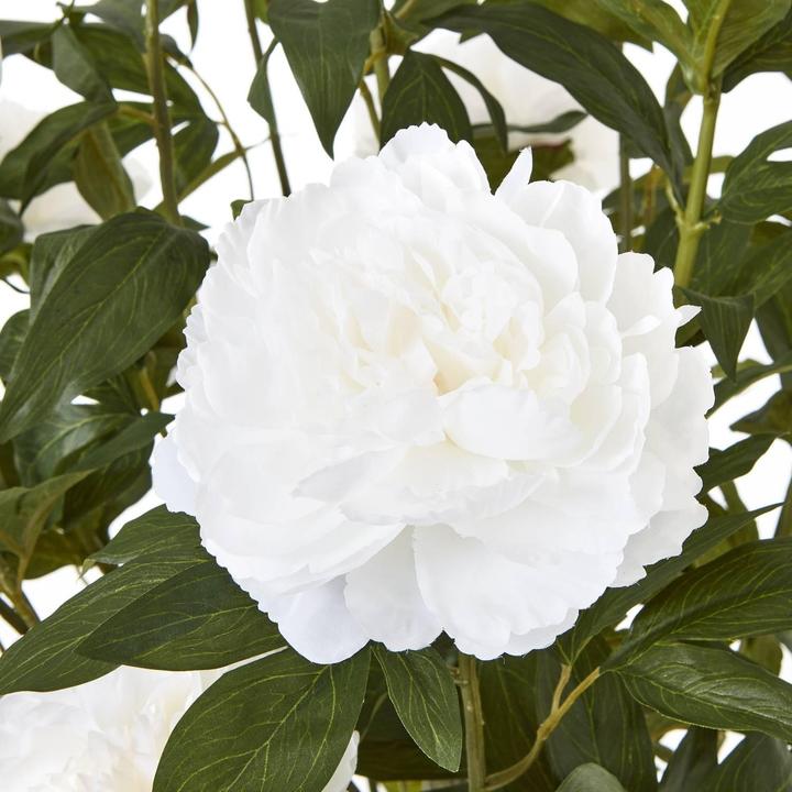 Image du produit Hill Interiors - Plante artificielle en pot (106 cm)