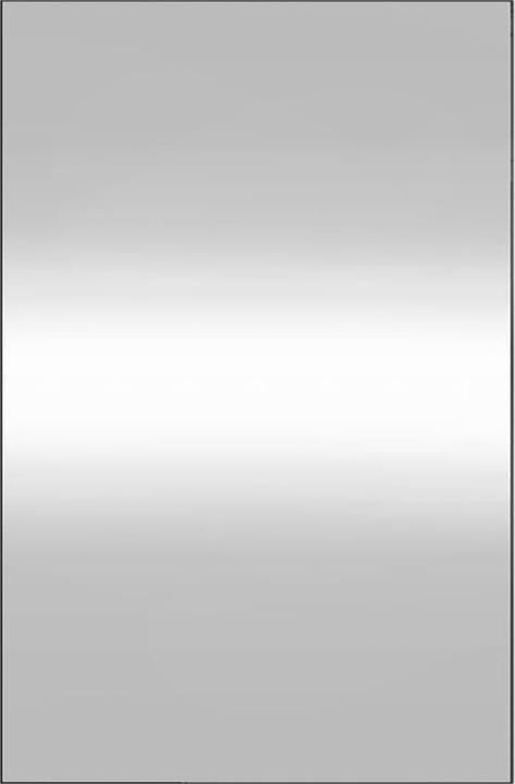Image du produit vidaXL Wandspiegel (50 x 80 cm)