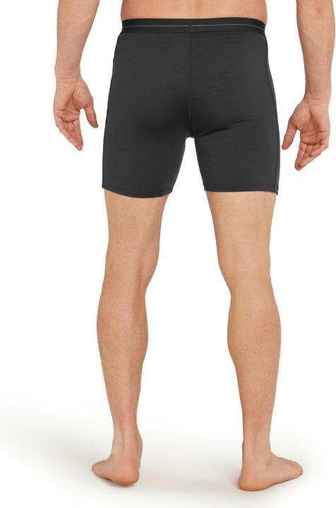Immagine prodotto Icebreaker Boxer lunghi Anatomica (M)