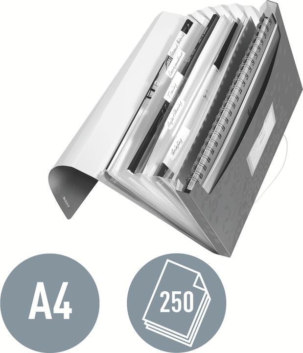 Produktbild Leitz WOW - Projektmappen (A4, 1 x)