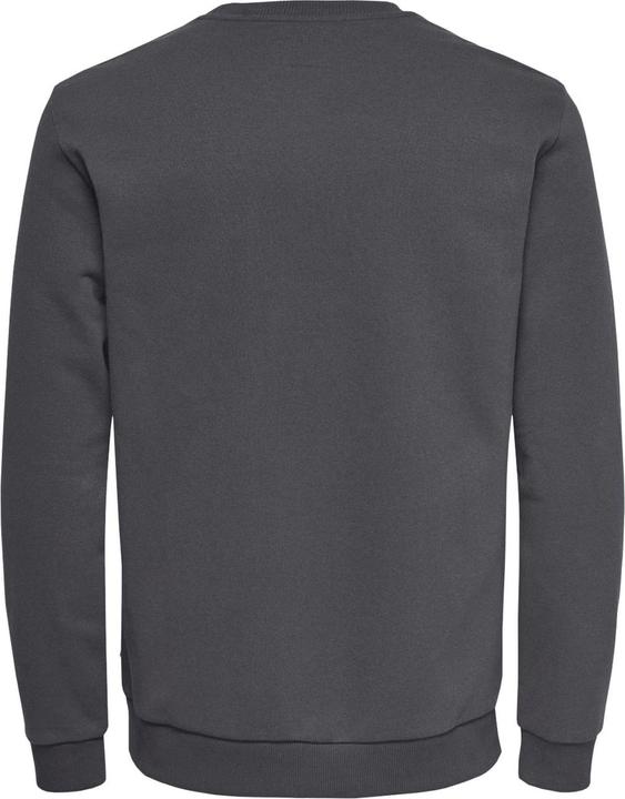Image du produit Only & Sons Onsceres Crew Neck Noos (M)