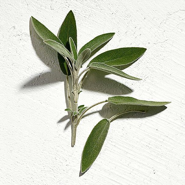 Immagine prodotto Jil Sander Sun - Profumo da uomo (Eau de parfum, 75 ml)