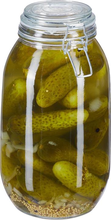 Relaxdays Cliptop Jar (1 pcs., 3 l)