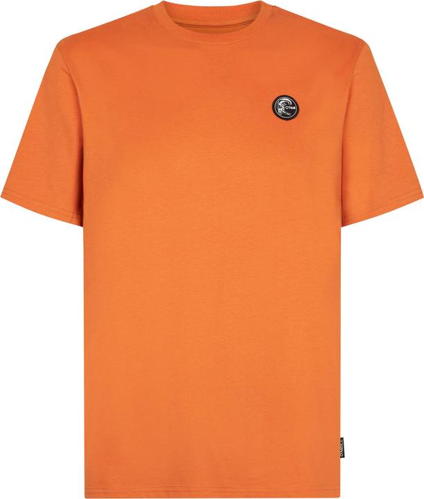 Actual product image O'Neill Originals Badge (L)