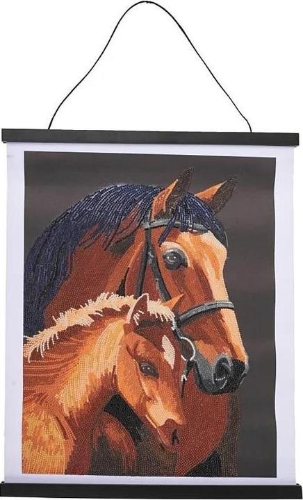 Image du produit Craft Buddy Chevaux, 35x45cm Crystal Art Scroll