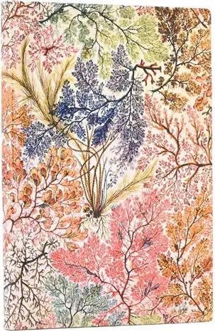 Productafbeelding Paperblanks Notitieboek Flexis William Kilburn (9 x 14 cm, Rijen, Hardcover)