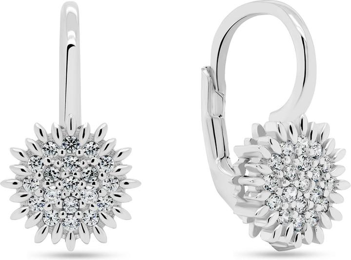Produktbild Brilio Silver - Charming silver earrings with zircons EA253W