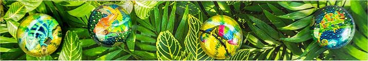 Produktbild Trendform Magnetbrett Story Box Chameleon 5 x 30 cm (1 x)