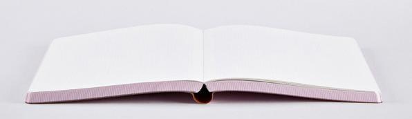 Image du produit Nuuna Graphic L, OX (22 x 16,5 cm, Pointillés, Couverture souple)