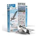 Immagine prodotto Eugy Set 3D Royal Albatross (MQ6)