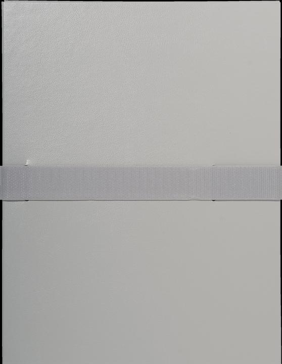 AAA875