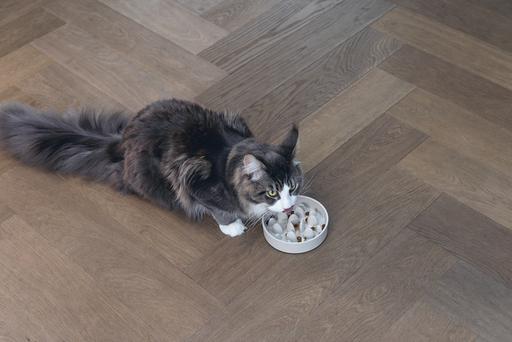 Actual product image Designed by Lotte Cat Pom (0.41 l)