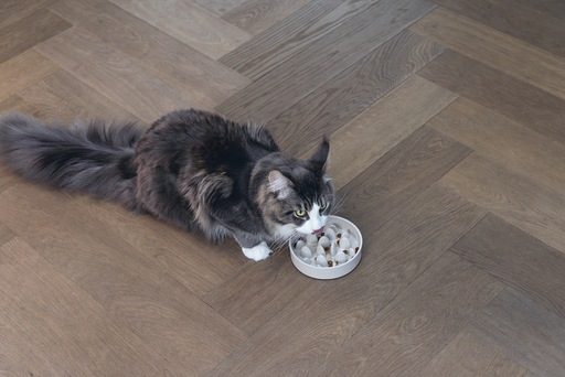Actual product image Designed by Lotte Cat Pom (0.41 l)