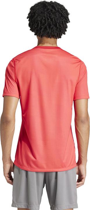 Immagine prodotto adidas CAMICIA REV 24 (L)