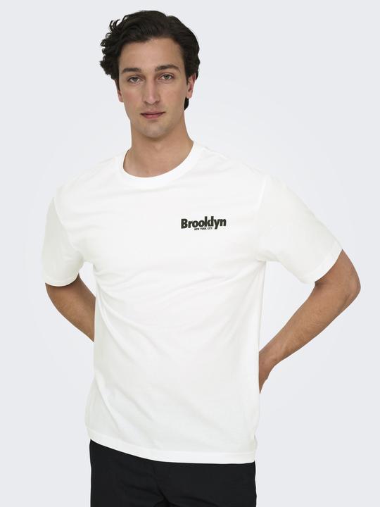 Image du produit Only & Sons Onskeane Rlx Ss Print Tee Noos (M)