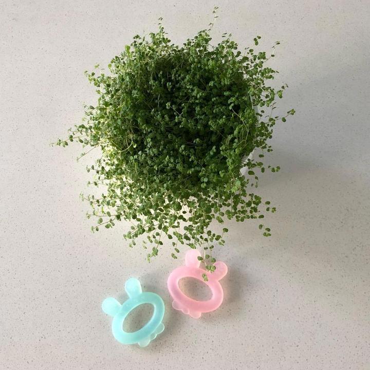 Produktbild Haakaa Beissring Hasenohr - Blau