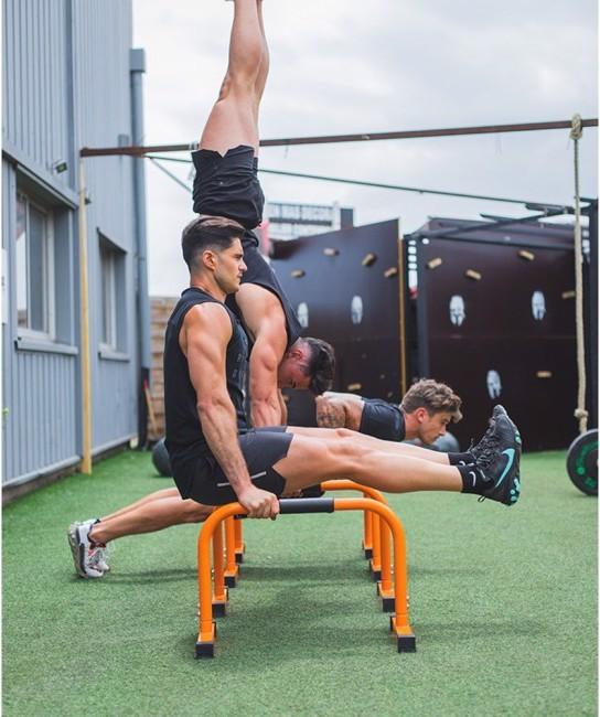 Actual product image Sveltus Parallettes