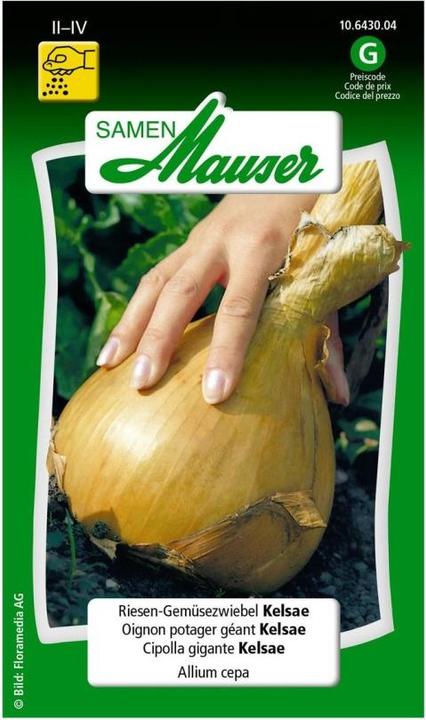 Image du produit Samen Mauser Kelsae géant aux légumes et aux oignons (Graines de légumes)