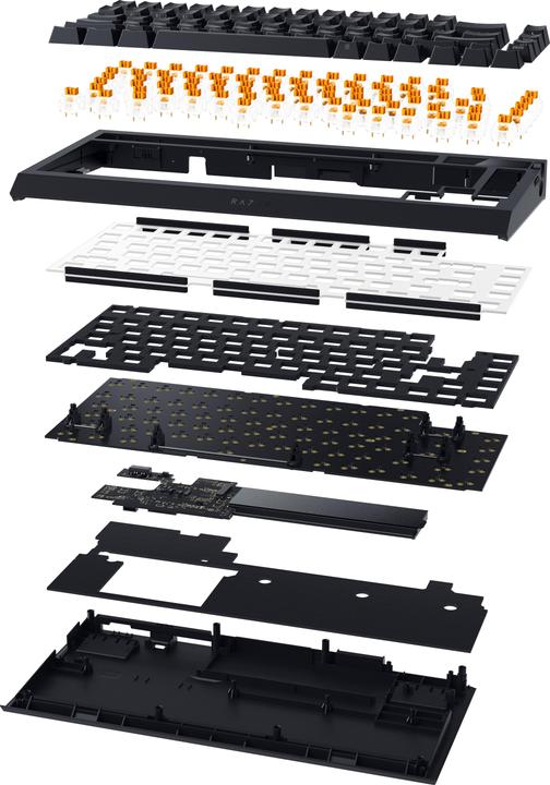 Actual product image Razer BlackWidow V4 Pro (US, Cable, Wireless)