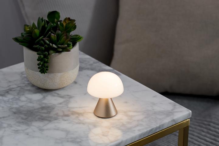 Actual product image Lexon Mina