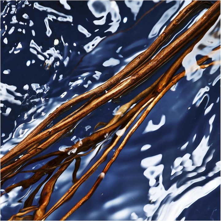 Produktbild Davidoff Oceanic Eau de Toilette (Eau de Toilette, 458.68 ml)