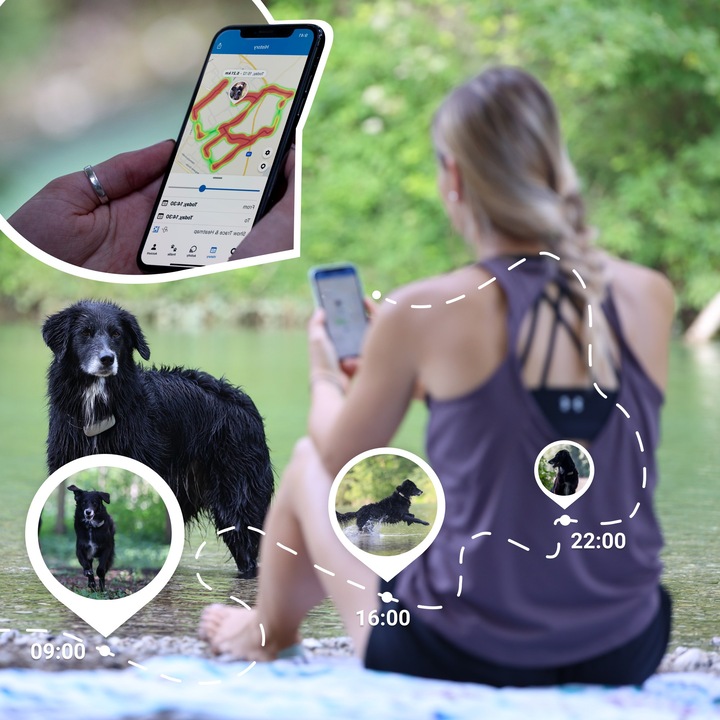 Produktbild Tractive Dog 4 GPS Tracker für Hunde (Hund, Allgemein)