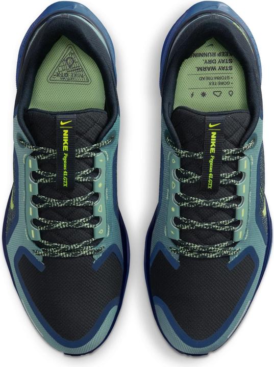 Image du produit Nike Pegasus 41 GTX (47)