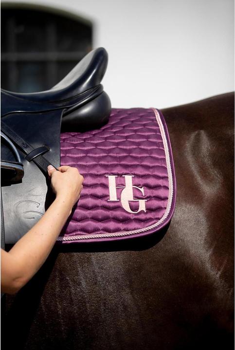 Image du produit Horse Guard Taleen