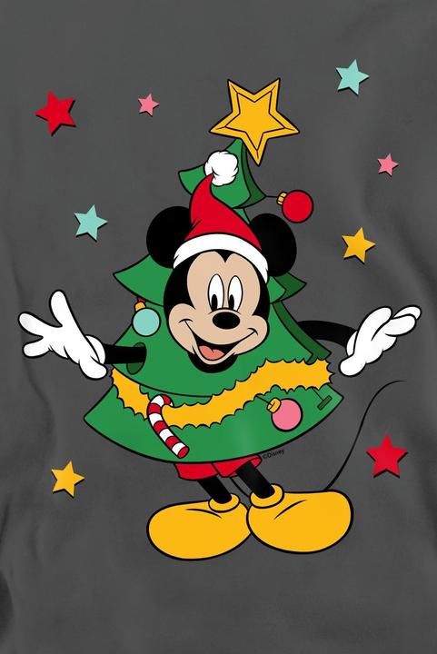 Produktbild Disney Sweatshirt (S)