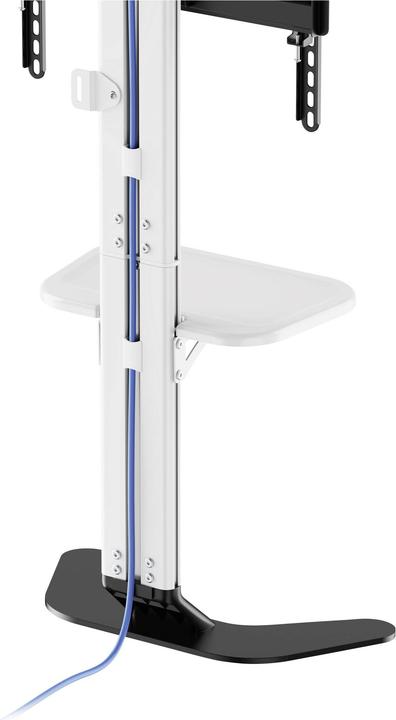 Actual product image SpeaKa Professional SP-TVS-600 TV-Standfuss Höhenverstellbar 94,0 cm (37") - 218 (86", 45 kg)