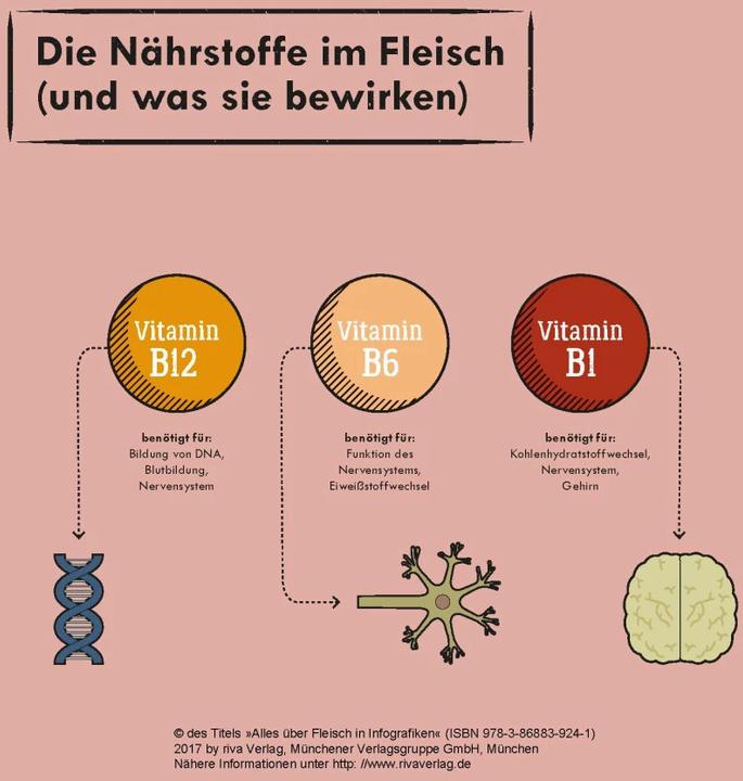 Produktbild Alles über Fleisch in Infografiken (Deutsch, Daniel Wiechmann, 2017)