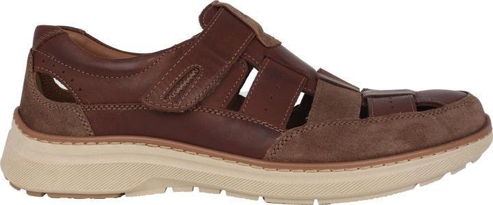 Actual product image Ara Pedro (45)