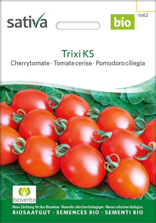 Produktbild Sativa Trixi KS – Cherrytomate Bio (Gemüsesamen)