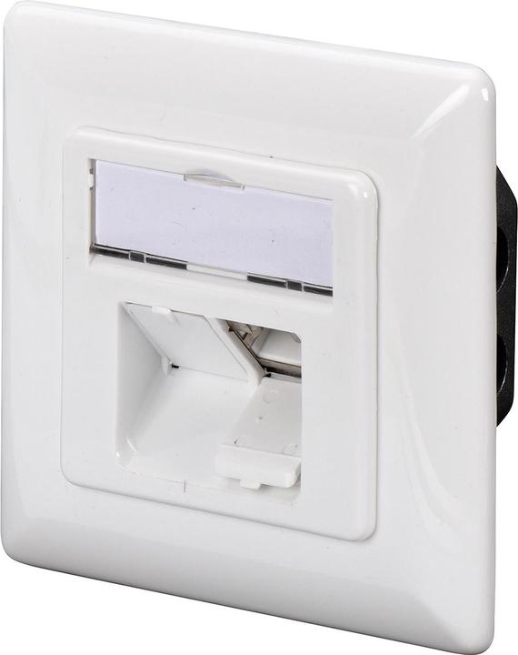 Image du produit Digitus Prise réseau CAT 6A classe EA