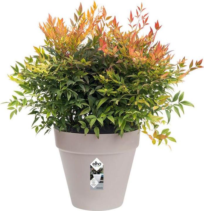 Immagine prodotto Elho Loft urbano (19.30 cm)